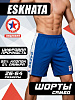 Шорты для самбо ВФС Eskhata, синий	