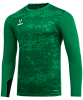 Свитер вратарский Jogel DIVISION PerFormDRY GK Splash, зеленый	