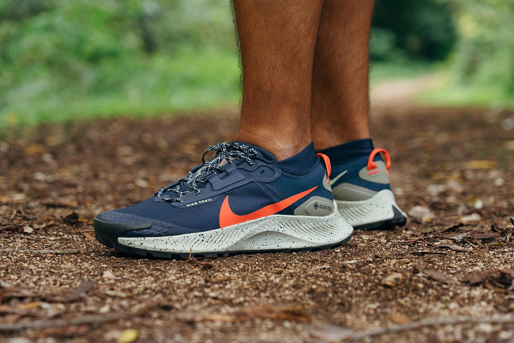 https://cdn.runrepeat.com/storage/gallery/product_content/37849/nike-pegasus-trail-3-gtx-review-17907067-main.jpg